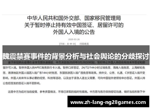 魏震禁赛事件的背景分析与社会舆论的分歧探讨