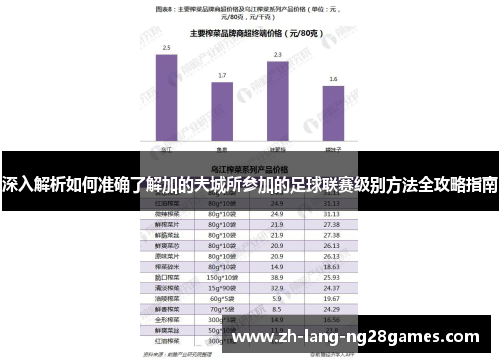 深入解析如何准确了解加的夫城所参加的足球联赛级别方法全攻略指南