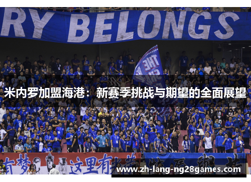 米内罗加盟海港：新赛季挑战与期望的全面展望